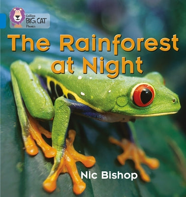 The Rainforest at Night: Blue / Band 4 by Bishop, Nic