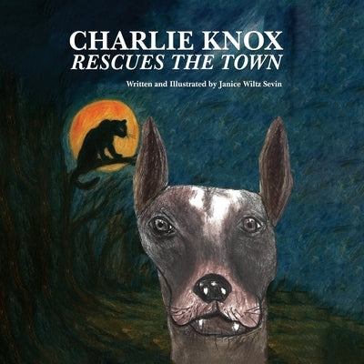 Charlie Knox Rescues the Town by Sevin, Janice Faye