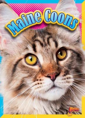 Maine Coons by Clausen-Grace, Nicki