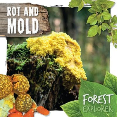 Rot and Mold by Twiddy, Robin