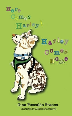 Here Comes Harley! Harley Comes Home by Franco, Gina Fuscaldo