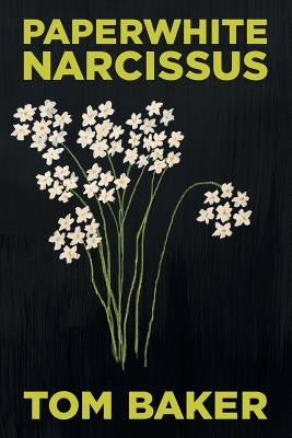 Paperwhite Narcissus by Baker, Tom