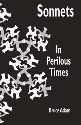 Sonnets In Perilous Times by Adam, Bruce