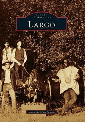Largo by Schnur, James Anthony