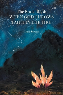 The Book of Job When God Throws Faith in the Fire by B. Strevel, Christopher