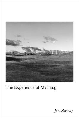 The Experience of Meaning by Zwicky, Jan