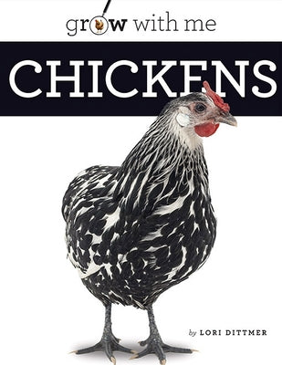 Chickens by Dittmer, Lori