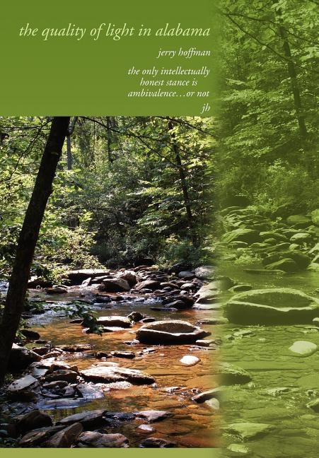 The quality of light in alabama by Hoffman, Jerry