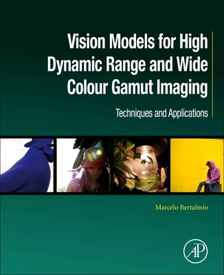Vision Models for High Dynamic Range and Wide Colour Gamut Imaging: Techniques and Applications by Bertalmío, Marcelo
