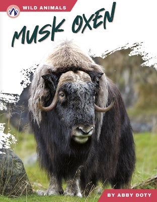 Musk Oxen by Doty, Abby