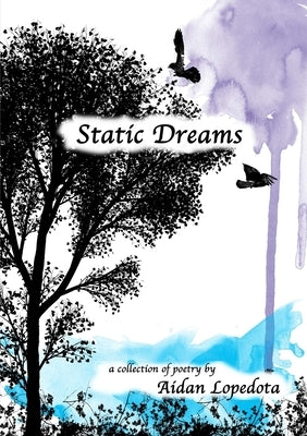 Static Dreams by Lopedota, Aidan