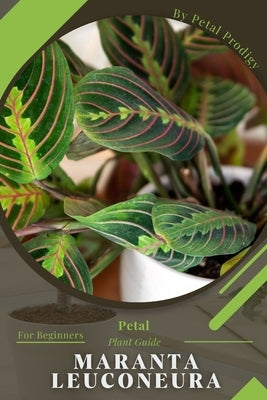 Maranta leuconeura: Prodigy Petal, Plant Guide by Prodigy, Petal