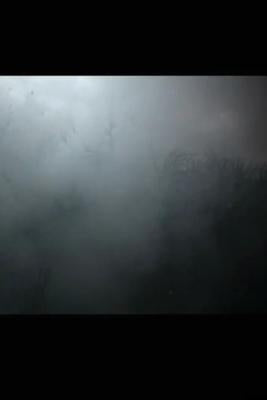 The Last Transmissions by Nataly, Sonny