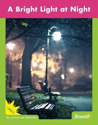 A Bright Light at Night by Gleisner, Jenna Lee