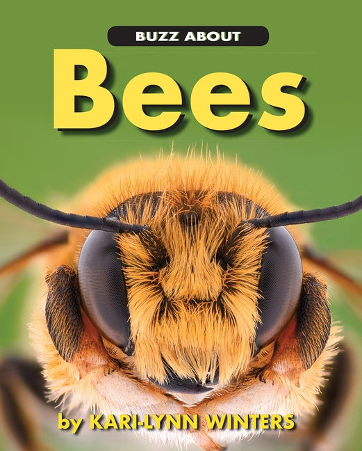 Buzz about Bees by Winters, Kari-Lynn