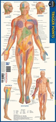 Trigger Points: A Quickstudy Laminated Anatomy Reference Guide by Perez, Vincent