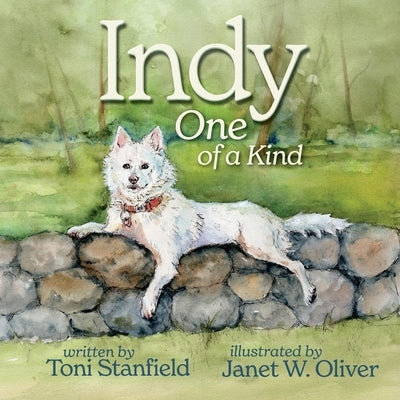 Indy, One of a Kind by Stanfield, Toni