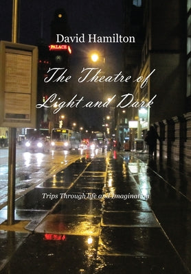 The Theatre of Light and Dark by Hamilton, David
