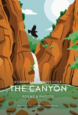 The Canyon by Oventile, Robert Savino
