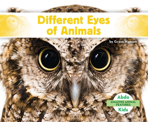 Different Eyes of Animals by Hansen, Grace