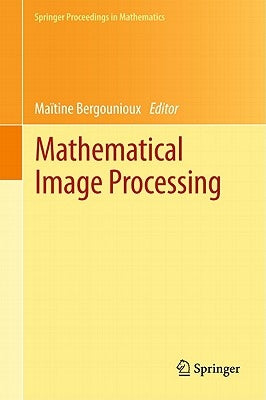 Mathematical Image Processing: University of Orléans, France, March 29th - April 1st, 2010 by Bergounioux, Maïtine