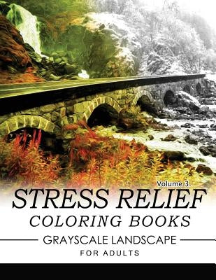 Stress Relief Coloring Books GRAYSCALE Landscape for Adults Volume 3 by Keith D. Simons