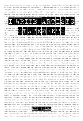 I Write Artist Statements by Sales, Liz