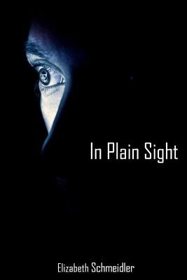 In Plain Sight by Schmeidler, Elizabeth