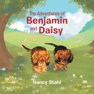The Adventures of Benjamin and Daisy by Stahl, Nancy