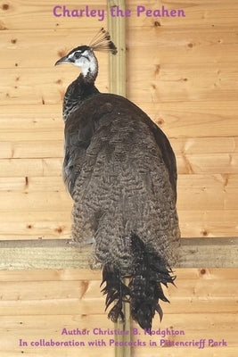 Charley the Peahen by Pittencrieff Park, Peacocks In