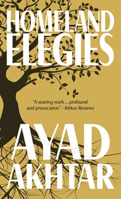 Homeland Elegies by Akhtar, Ayad