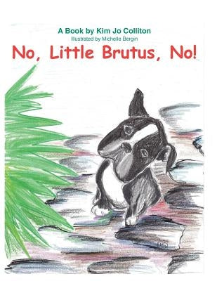 No Little Brutus No by Bergin, Michelle