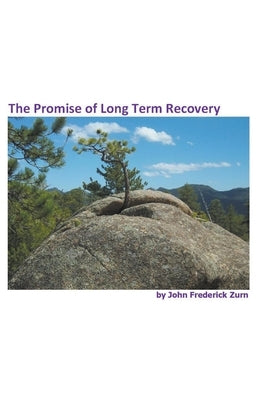 The Promise of Long Term Recovery by Zurn, John Frederick
