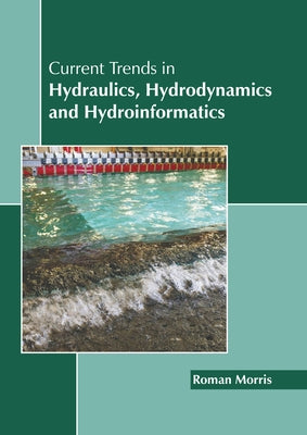 Current Trends in Hydraulics, Hydrodynamics and Hydroinformatics by Morris, Roman