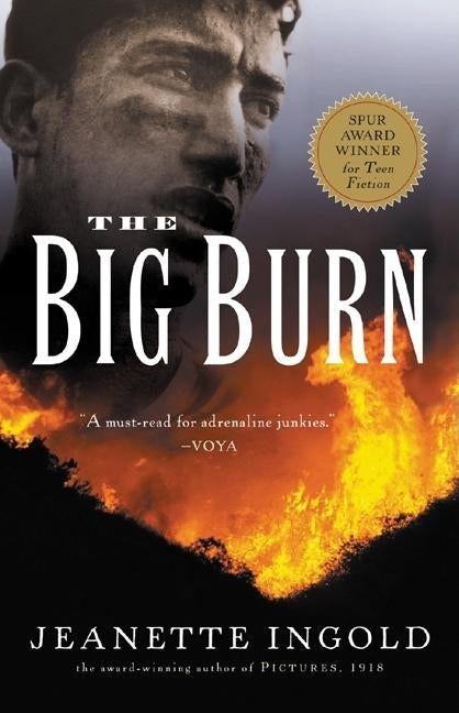 The Big Burn by Ingold, Jeanette