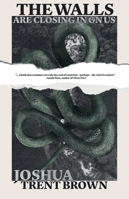 The Walls Are Closing In On Us by Brown, Joshua Trent