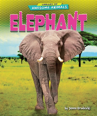 Elephant by Grodzicki, Jenna