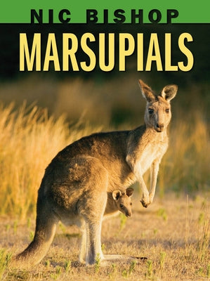 Nic Bishop: Marsupials by Bishop, Nic