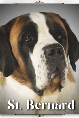 St. Bernard: Dog breed overview and guide by Pustova, Nina