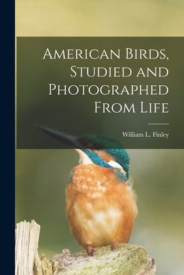American Birds, Studied and Photographed From Life by Finley, William L. 1876-1953
