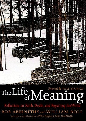 The Life of Meaning: Reflections on Faith, Doubt, and Repairing the World by Abernethy, Bob