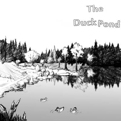 The Duck Pond: The Days With Dad Series by Cooper, Brian