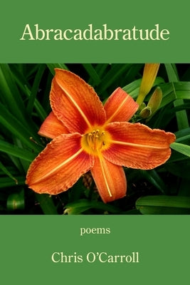 Abracadabratude by O'Carroll, Chris