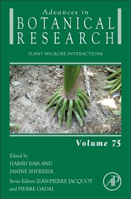 Plant Microbe Interactions: Volume 75 by Bais, Harsh