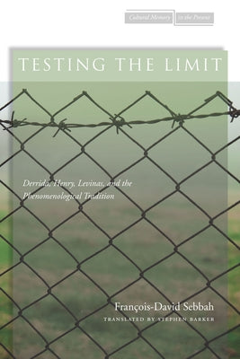 Testing the Limit: Derrida, Henry, Levinas, and the Phenomenological Tradition by Sebbah, François-David
