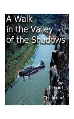 A Walk in the Valley of the Shadows by Champox, Richard J.