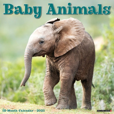 Baby Animals 2025 12 X 12 Wall Calendar by Willow Creek Press