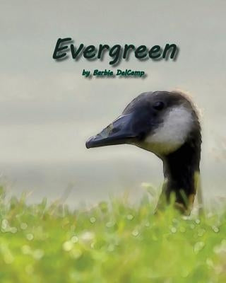 Evergreen by Delcamp, Barbie