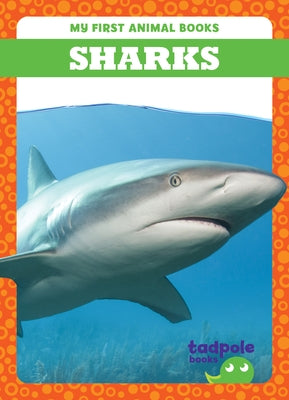 Sharks by Deniston, Natalie