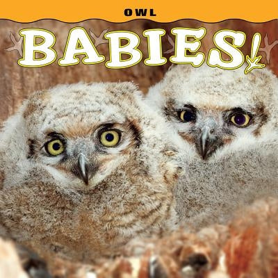 Owl Babies! by Lehmann, Steph